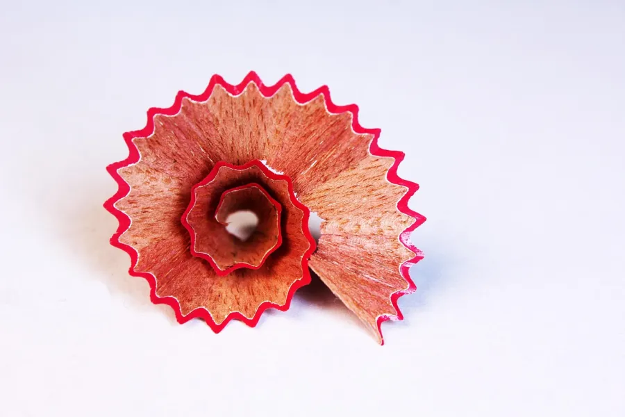 A pencil-sharpener shaving curled like a flower